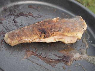 Image showing trout in frying pan