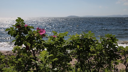 Image showing summer's day by the sea