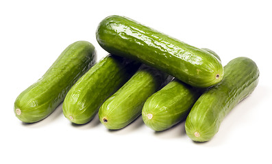 Image showing persian mini cucumbers