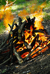 Image showing Burning fire