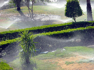 Image showing Watering a garden