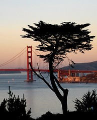 Image showing Golden Gate Bridge in California