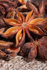 Image showing Star anise 