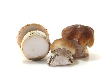 Image showing ceps