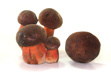 Image showing Boletus erythropus