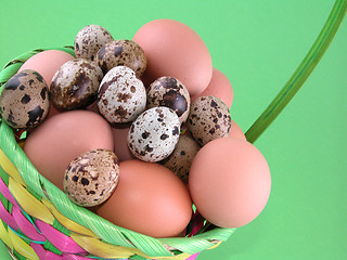 Image showing basket full of eggs