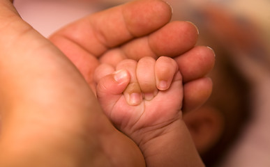 Image showing Mother's and baby's hands