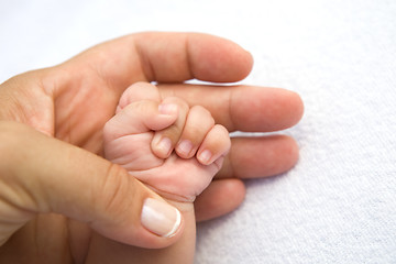 Image showing Mother's and baby's hands 