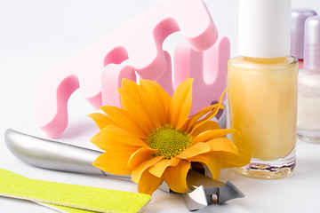 Image showing pedicure beauty set 