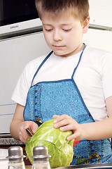 Image showing Boy cutting cabbage