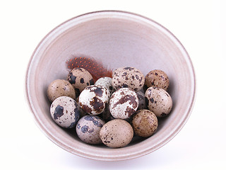 Image showing quail eggs