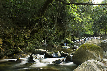 Image showing Mountain River 