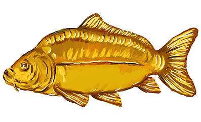 Image showing carp