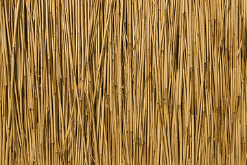 Image showing texture of cane dry