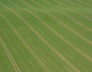 Image showing Field and track