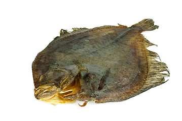 Image showing Salted turbot flatfish
