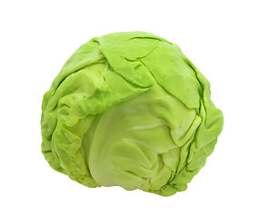 Image showing Cabbage