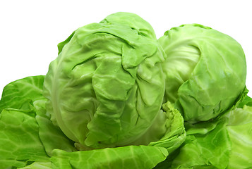 Image showing Cabbages