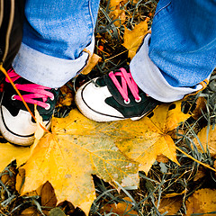 Image showing hiking shoes over yellow leaves