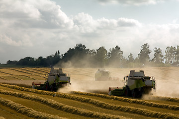 Image showing Harvesting