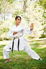 Image showing Asian practicing karate