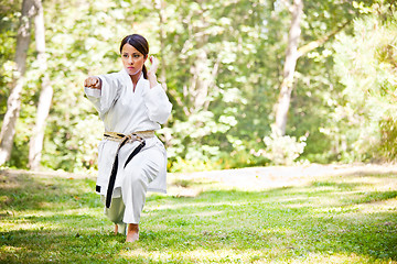 Image showing Asian practicing karate