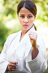 Image showing Asian practicing karate
