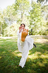 Image showing Asian practicing karate