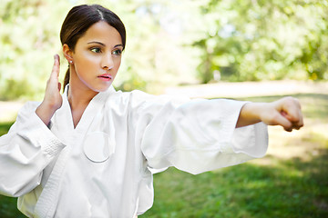 Image showing Asian practicing karate