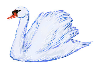 Image showing swan