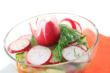 Image showing Cucumber-radish salad