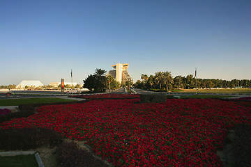 Image showing Flowers and Doha hotel