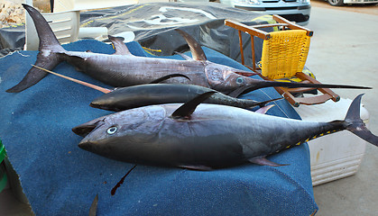 Image showing Tuna and swordfish in Crete
