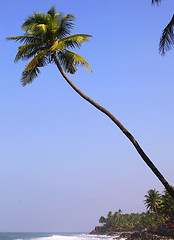 Image showing Tropical paradise