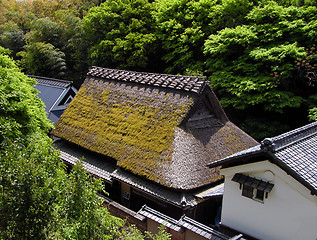 Image showing Traditional Houses