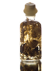 Image showing Bath Oil