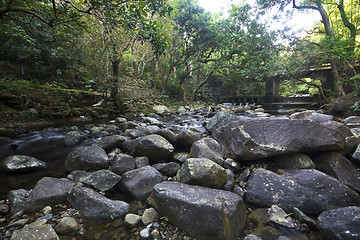 Image showing Cascade falls over mossy rocks