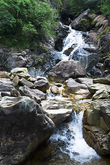 Image showing Cascade falls over mossy rocks