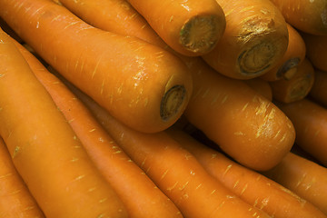 Image showing fresh young carrot on grass. 