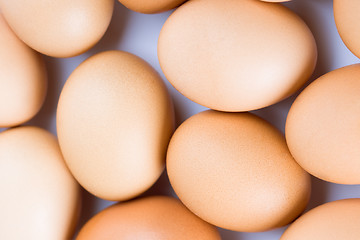 Image showing brown eggs