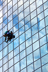 Image showing window cleaner at work