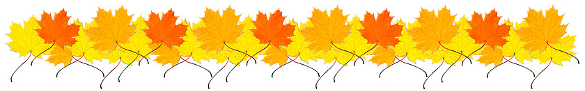 Image showing border from autumn maple leaves