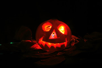 Image showing halloween pumpkin 