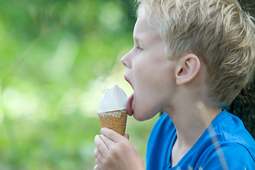 Image showing Enjoying an icecream