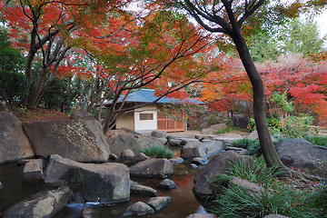 Image showing Japanese garden