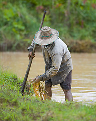 Image showing asian farmer preparing the ground for the growth of rice