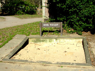 Image showing Dog Toilet