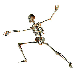 Image showing Skelett in Fecht Pose als Illustration