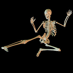 Image showing Skeleton in Kickboxing pose
