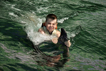 Image showing Boy swimming with dolphin closeup